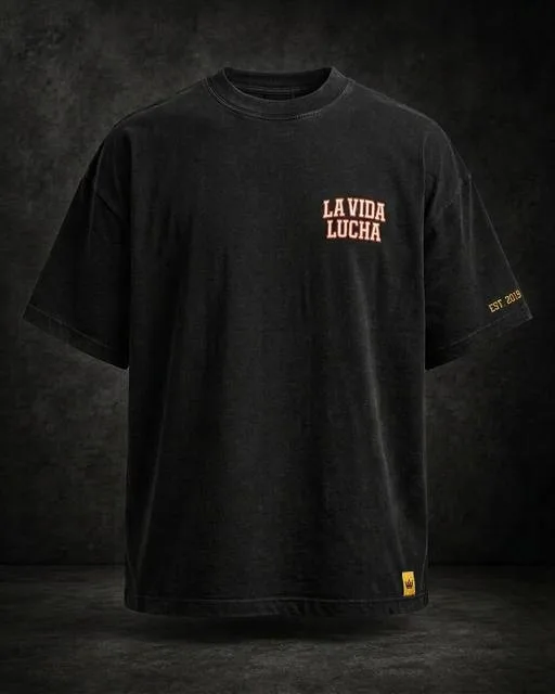 LA VIDA LUCHA Fight Life embroidered T-shirt in washed black, front
